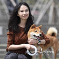 Xiaomi moestar 2.6m αναδιπλούμενο λουρί σκυλιών